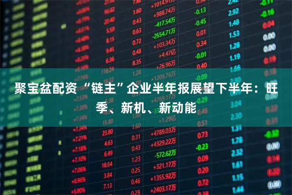 聚宝盆配资 “链主”企业半年报展望下半年：旺季、新机、新动能